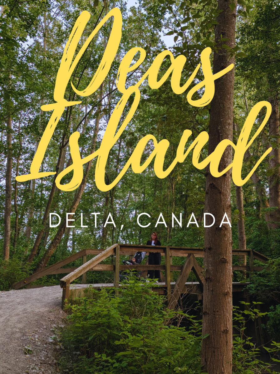 Deas Island Regional Park
