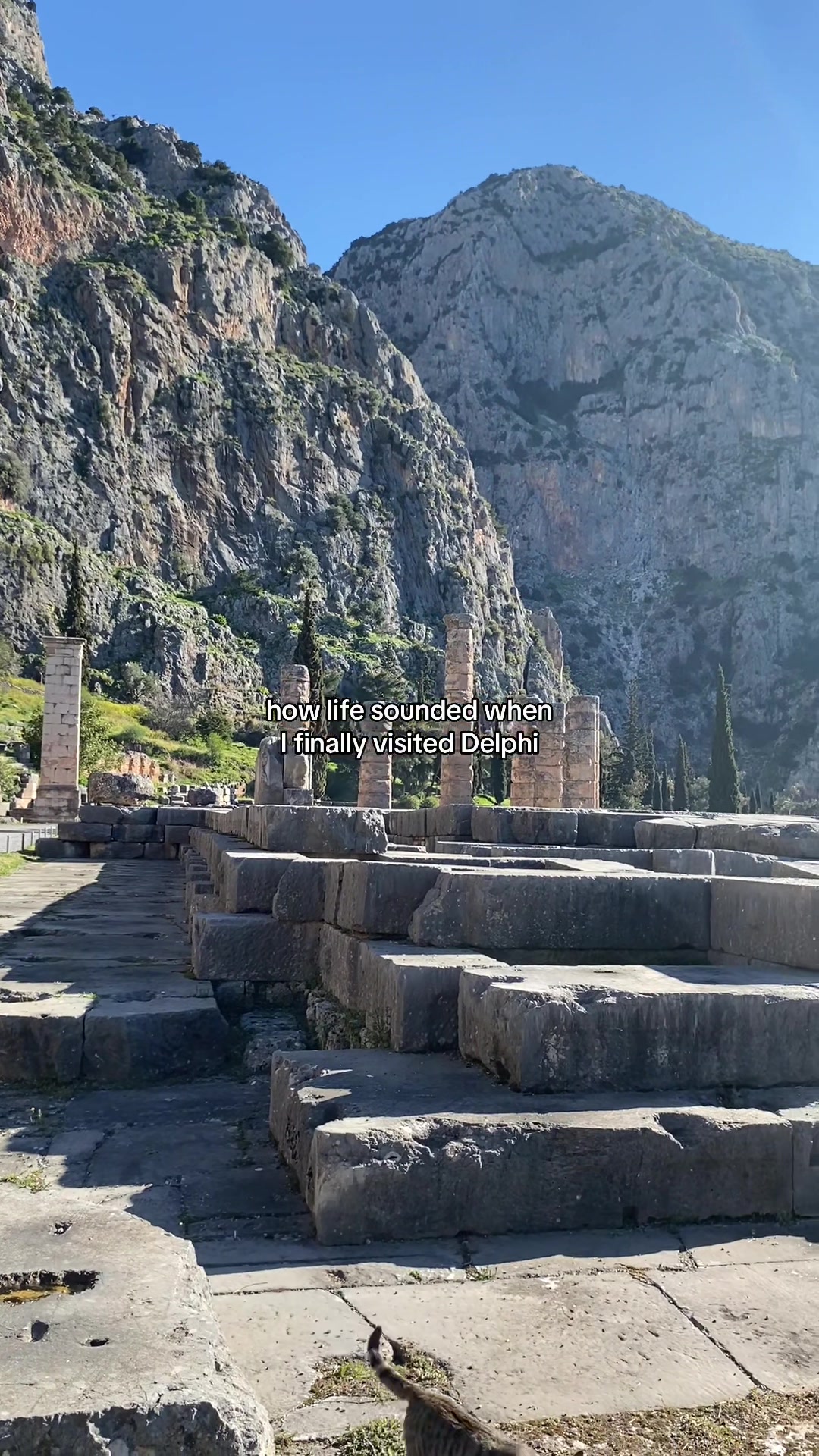 Delphi