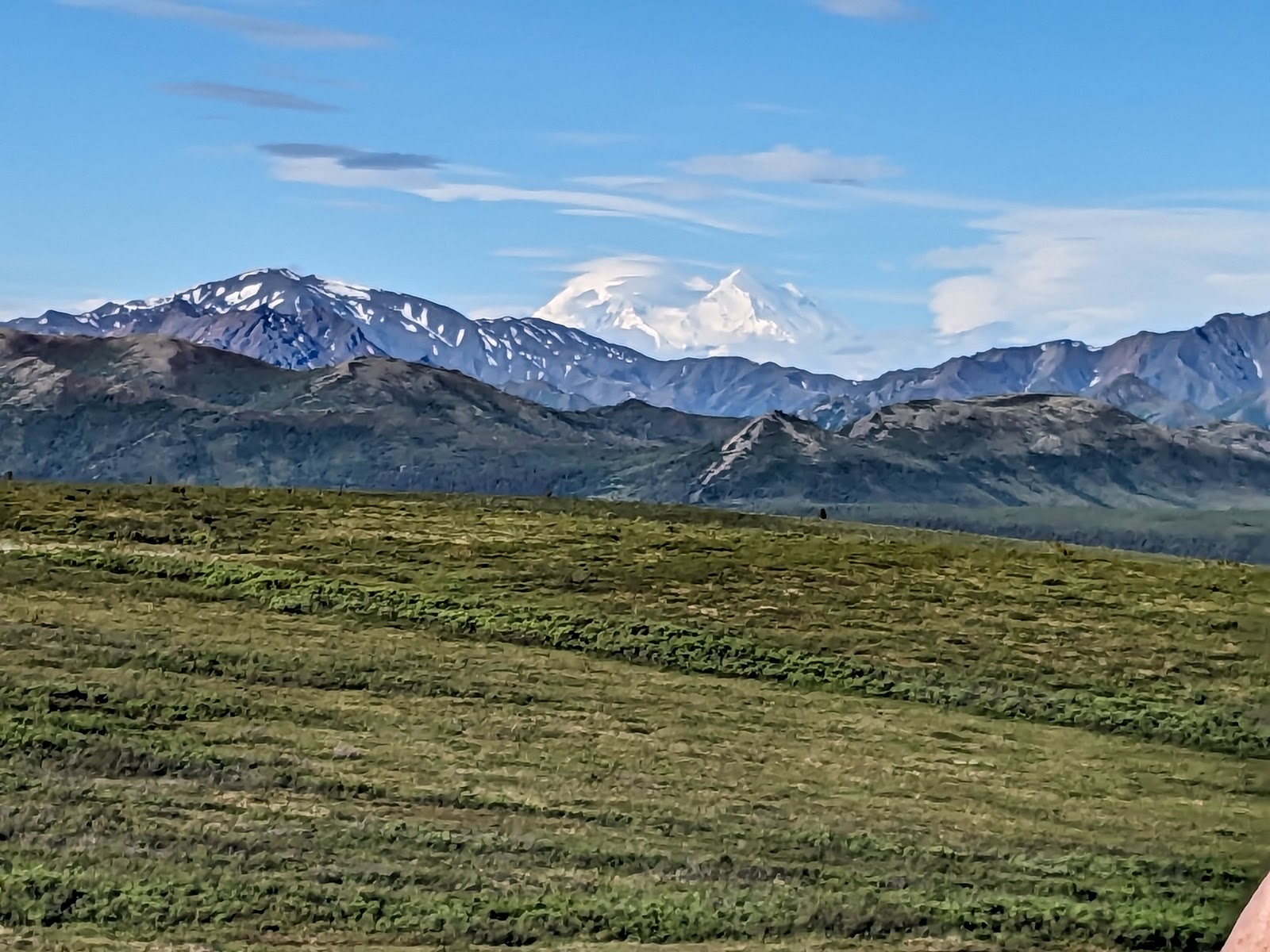 Denali National Park