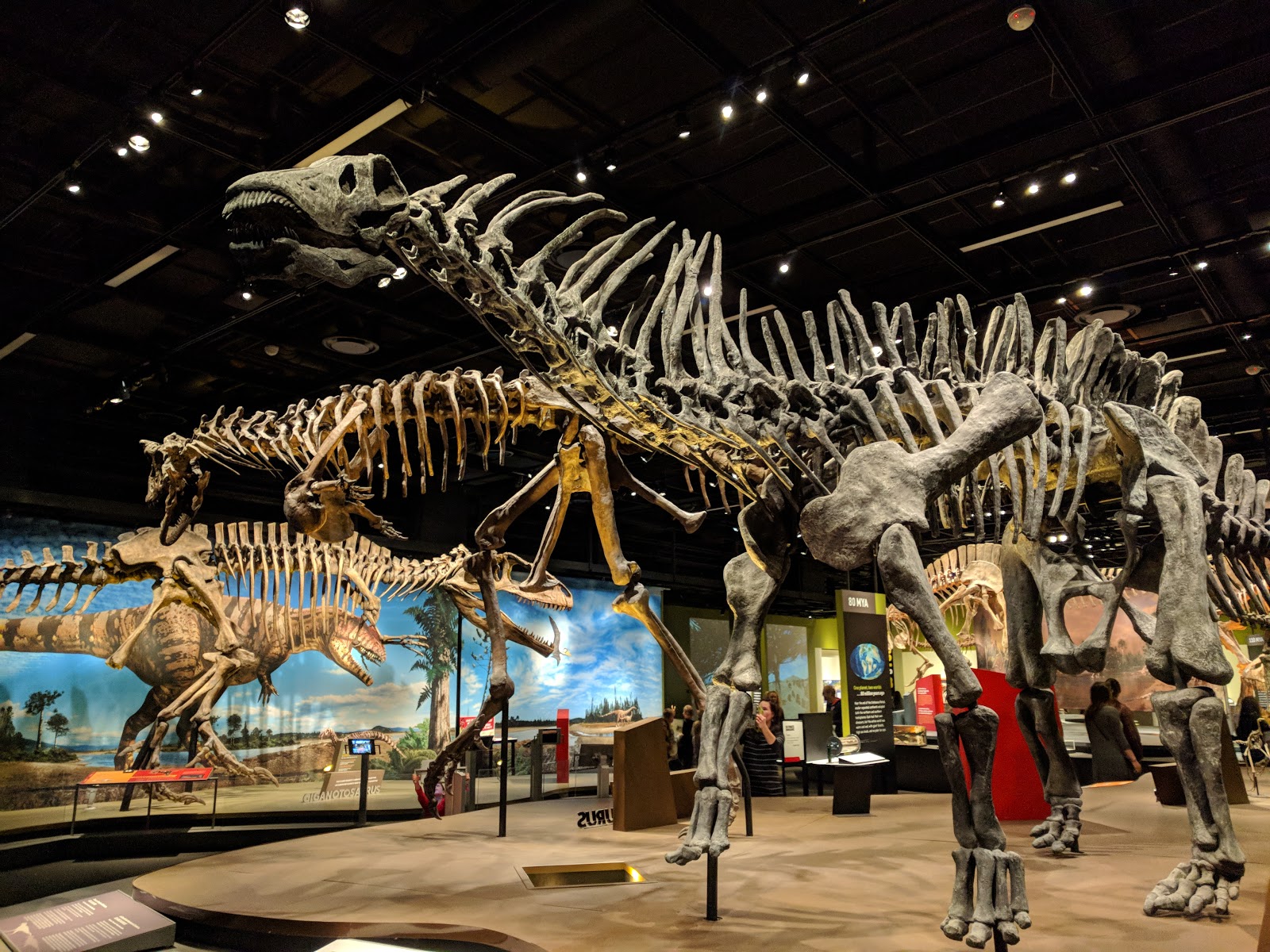 Denver Museum of Nature & Science