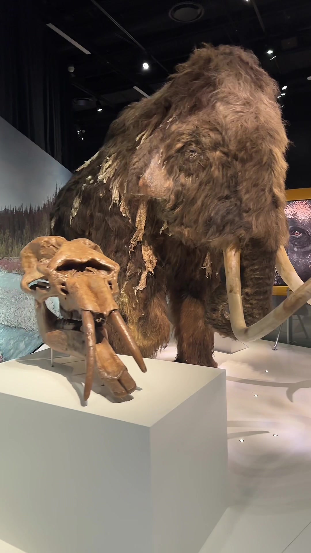 Denver Museum of Nature & Science