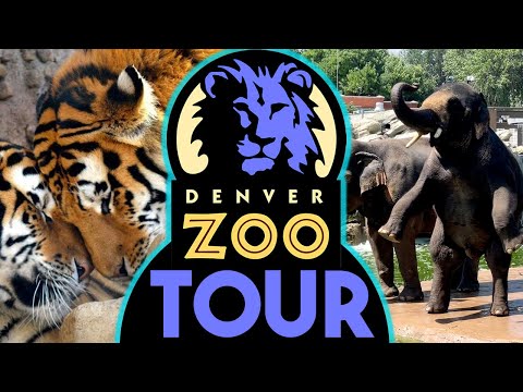 Denver Zoo