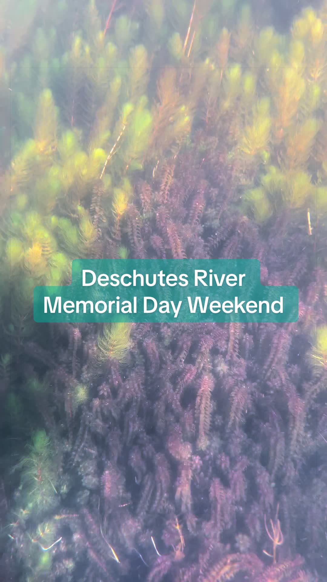 Deschutes River