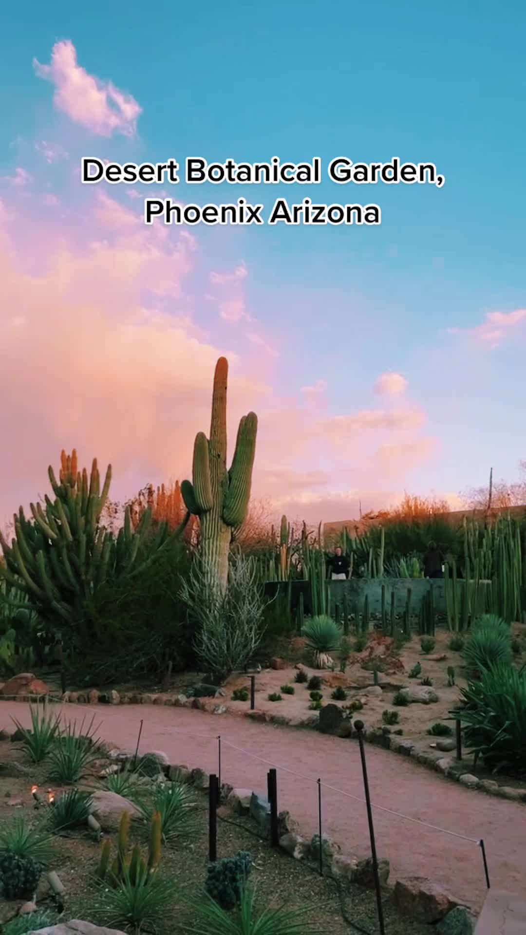 Desert Botanical Garden