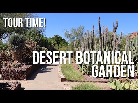 Desert Botanical Garden