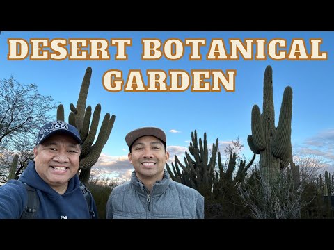 Desert Botanical Garden