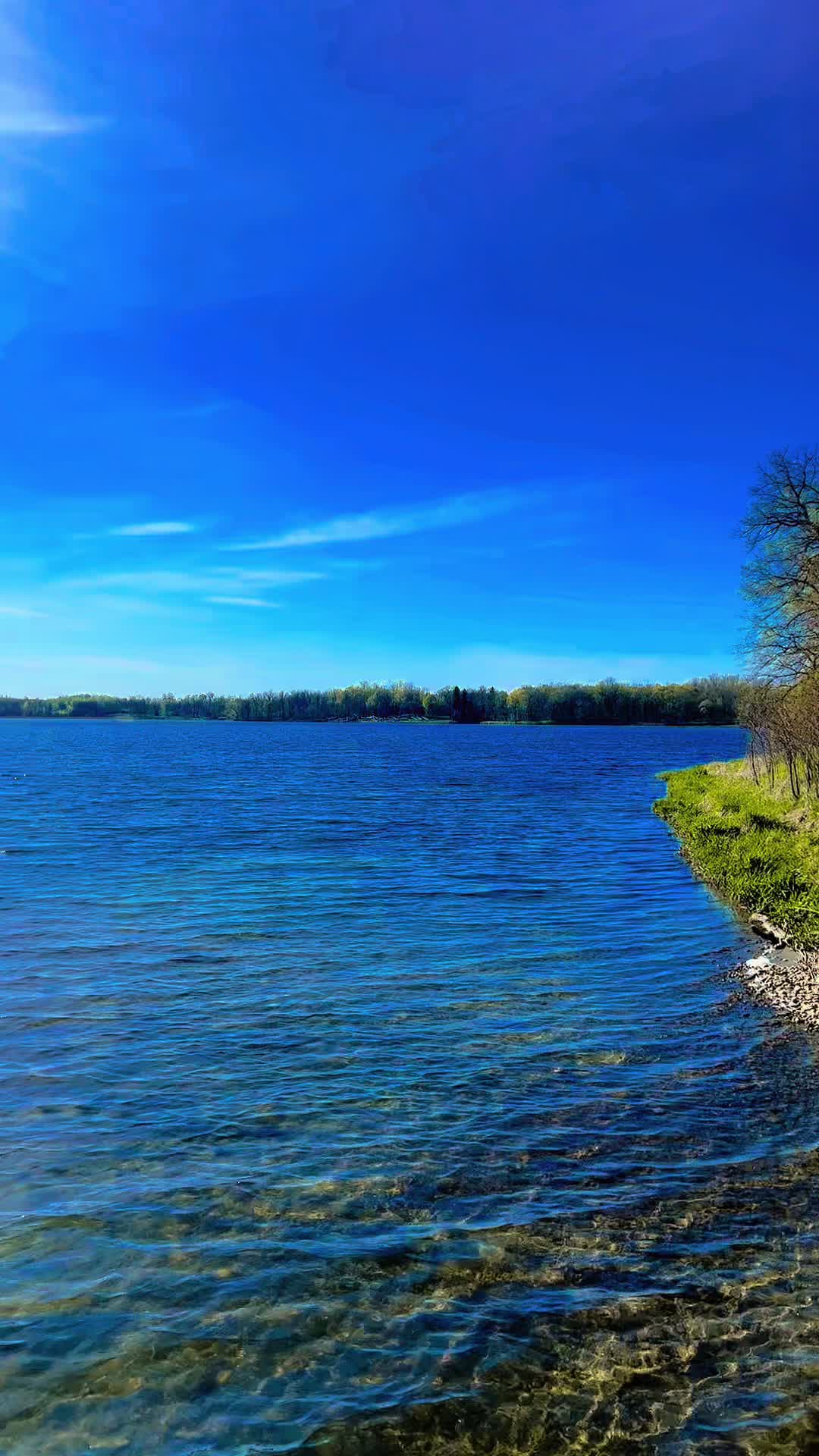 Detroit Lakes, MN