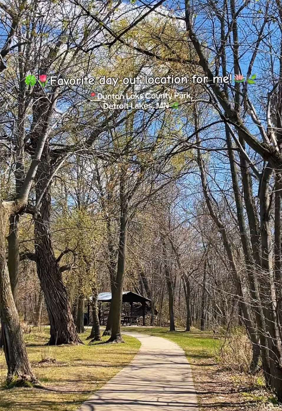Detroit Lakes, MN