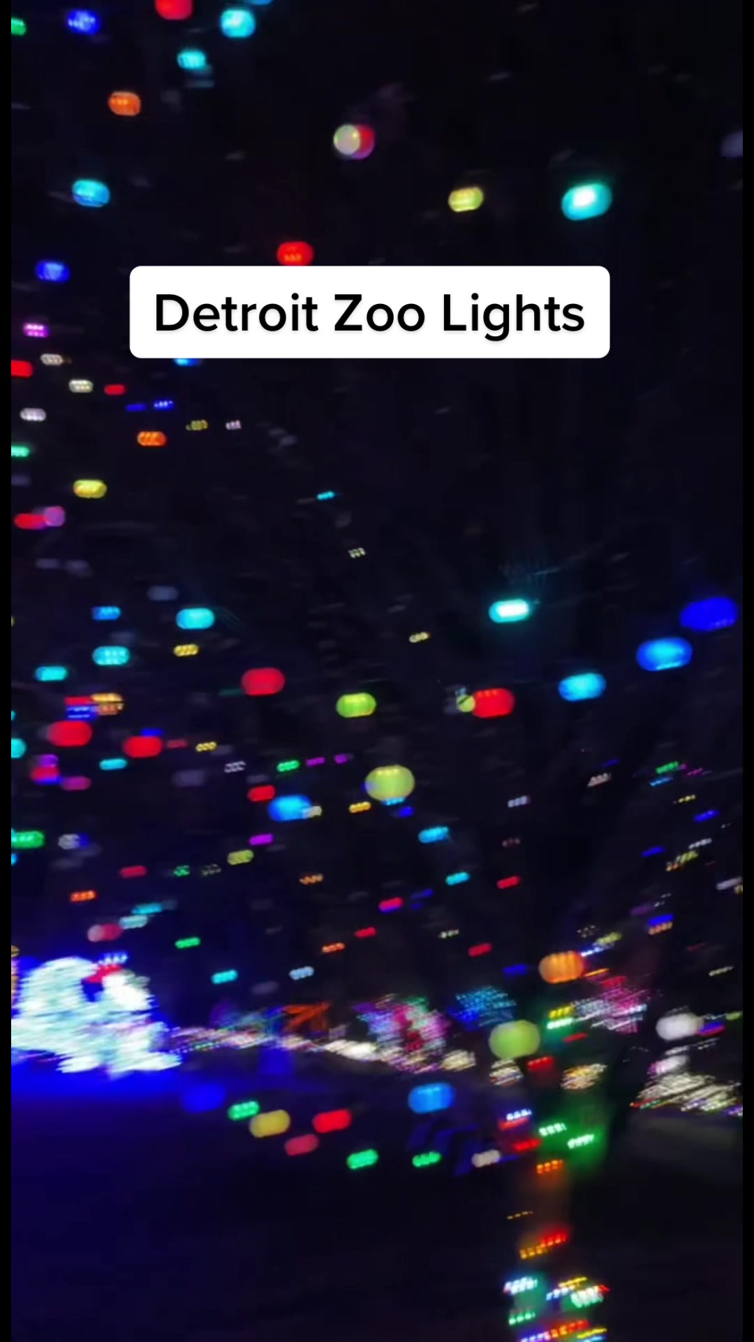 Detroit Zoo