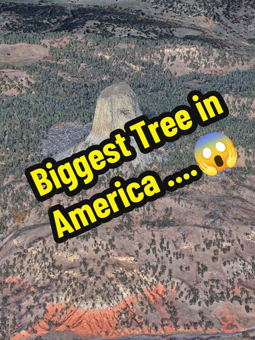 Devils Tower National Monument