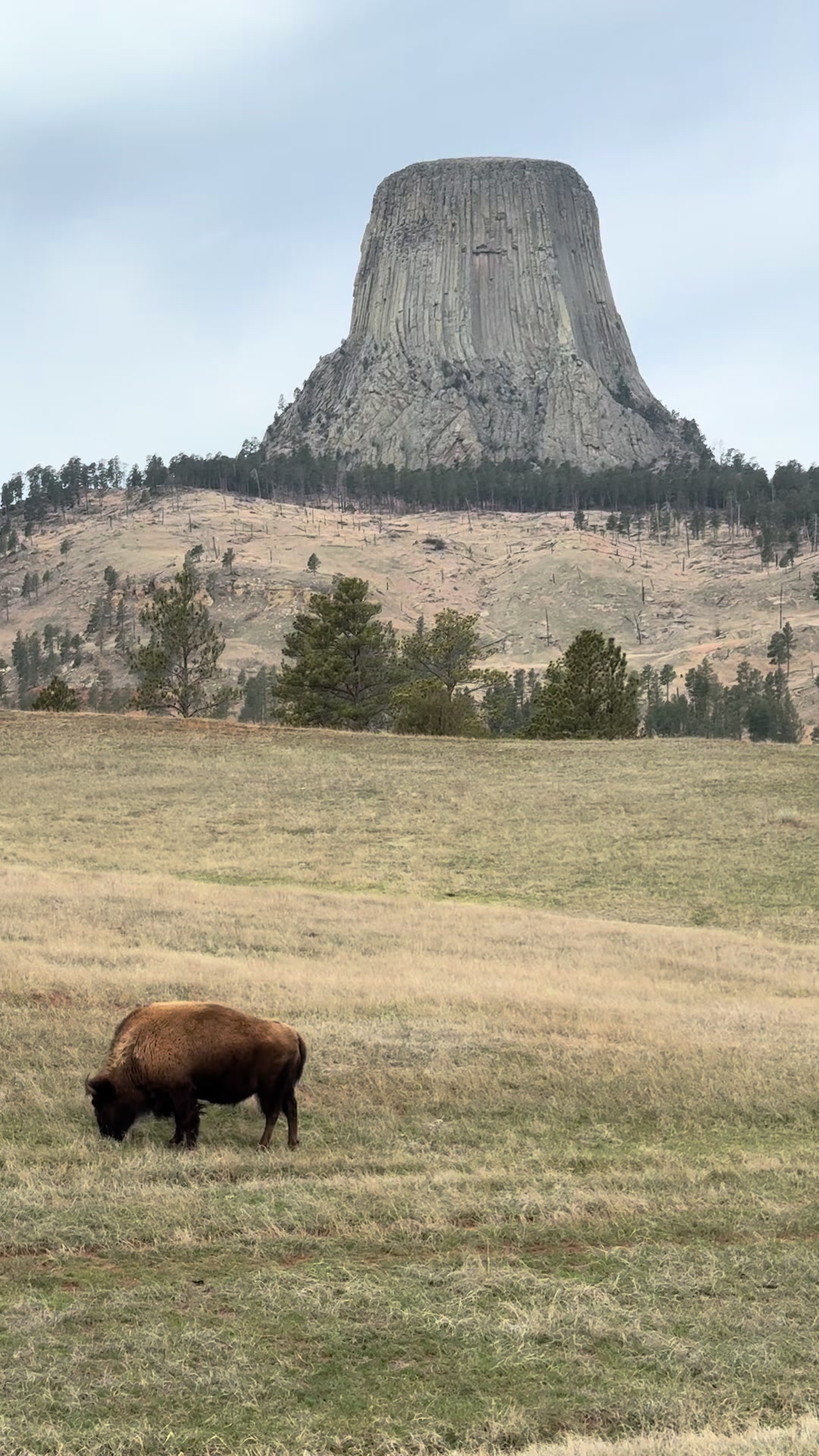 Devils Tower National Monument