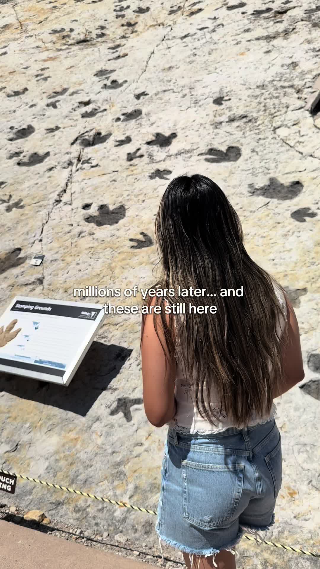 Dinosaur National Monument