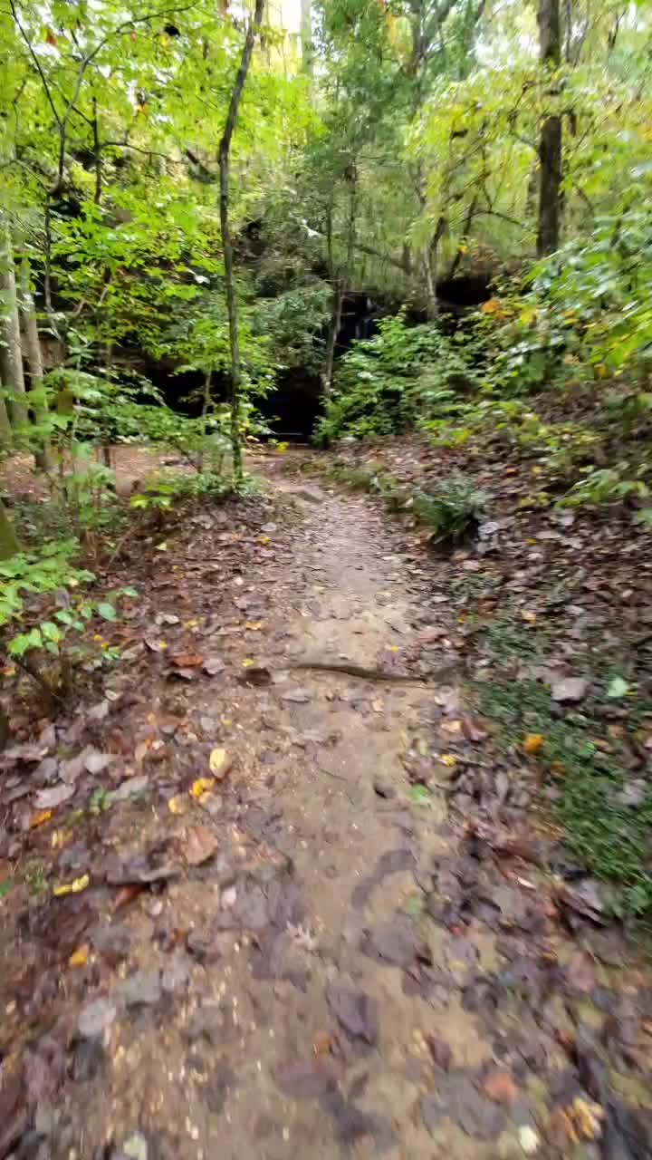 Dismals Canyon
