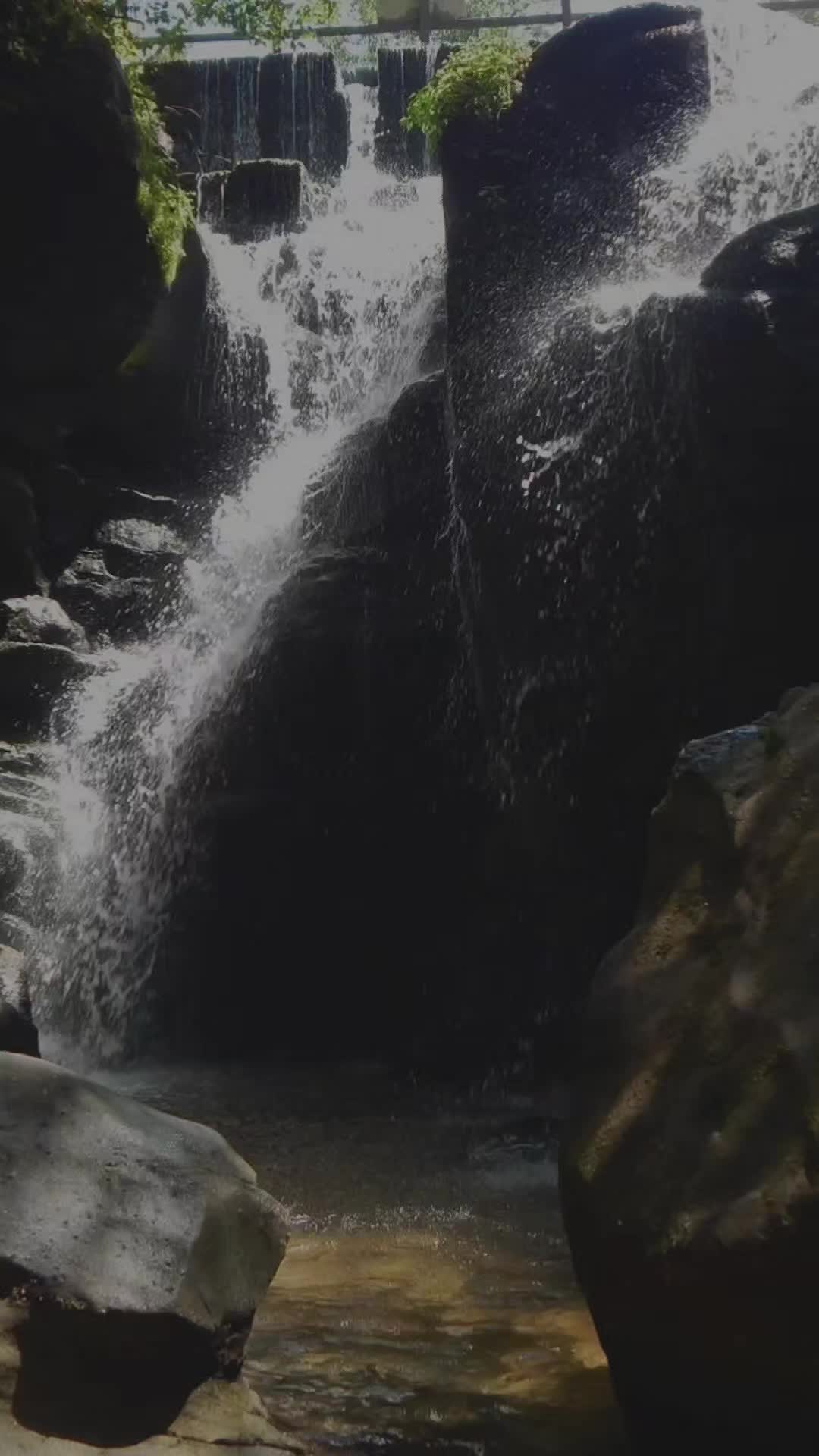 Dismals Canyon