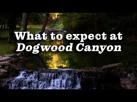 Dogwood Canyon Nature Park