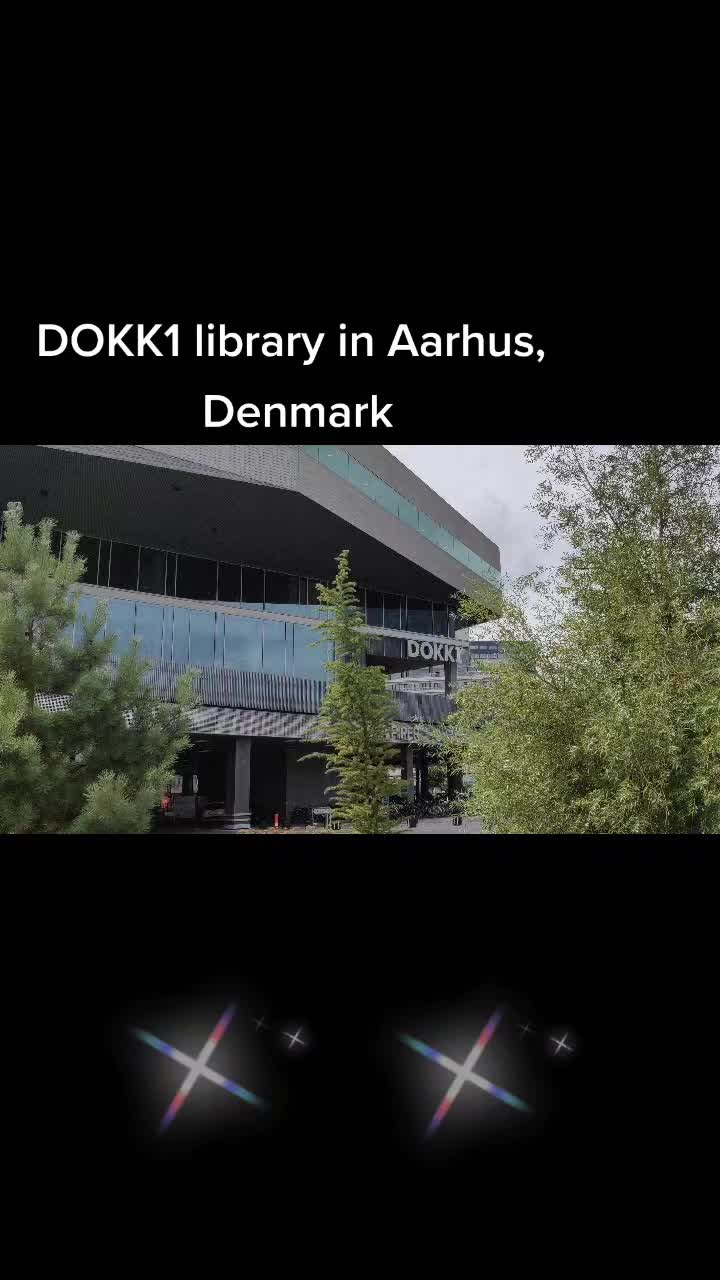 Dokk1 (Главная библиотека)