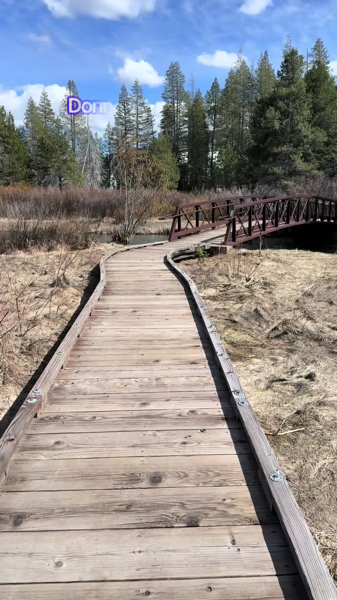 Donner Memorial State Park