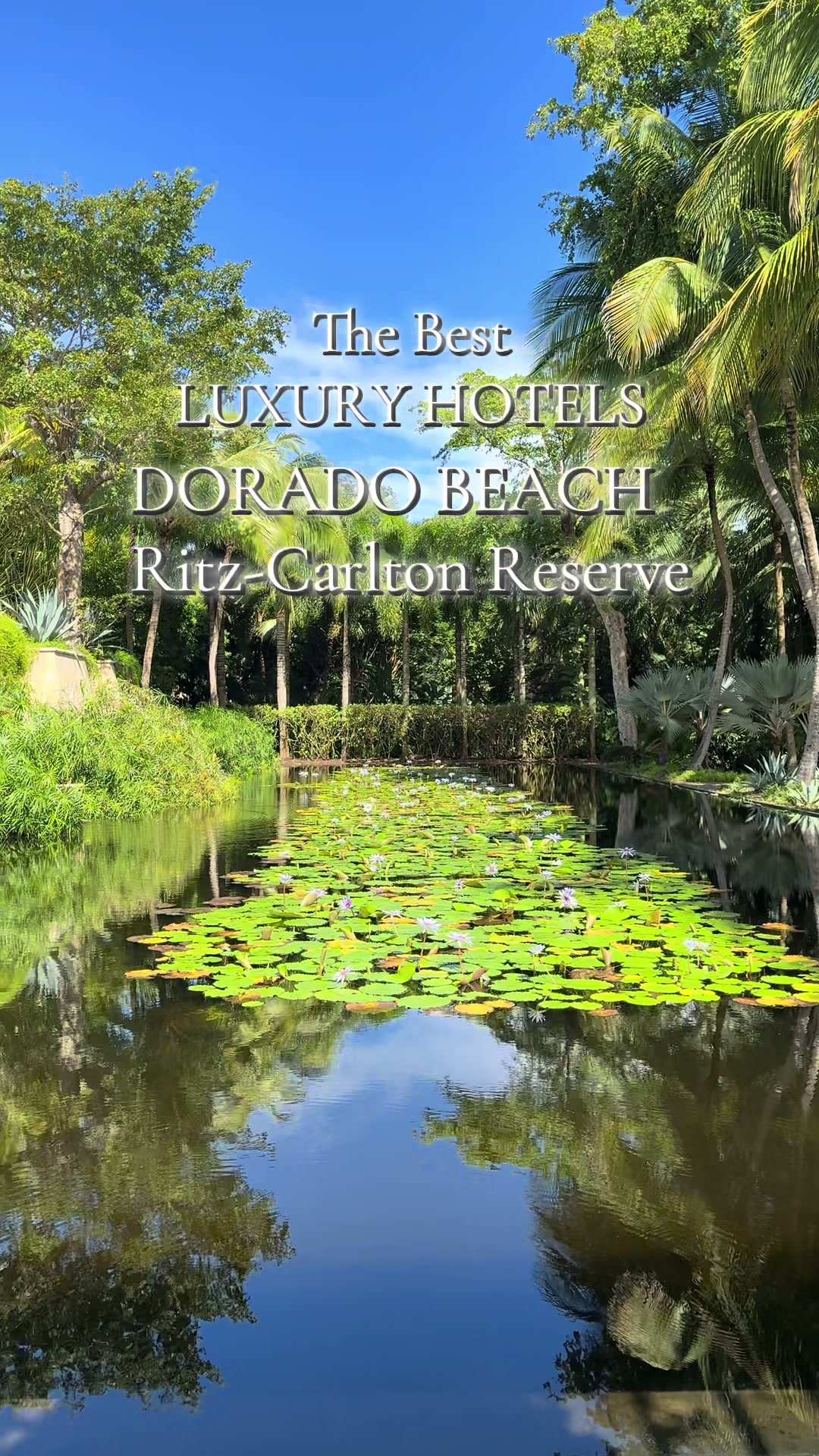Dorado Beach