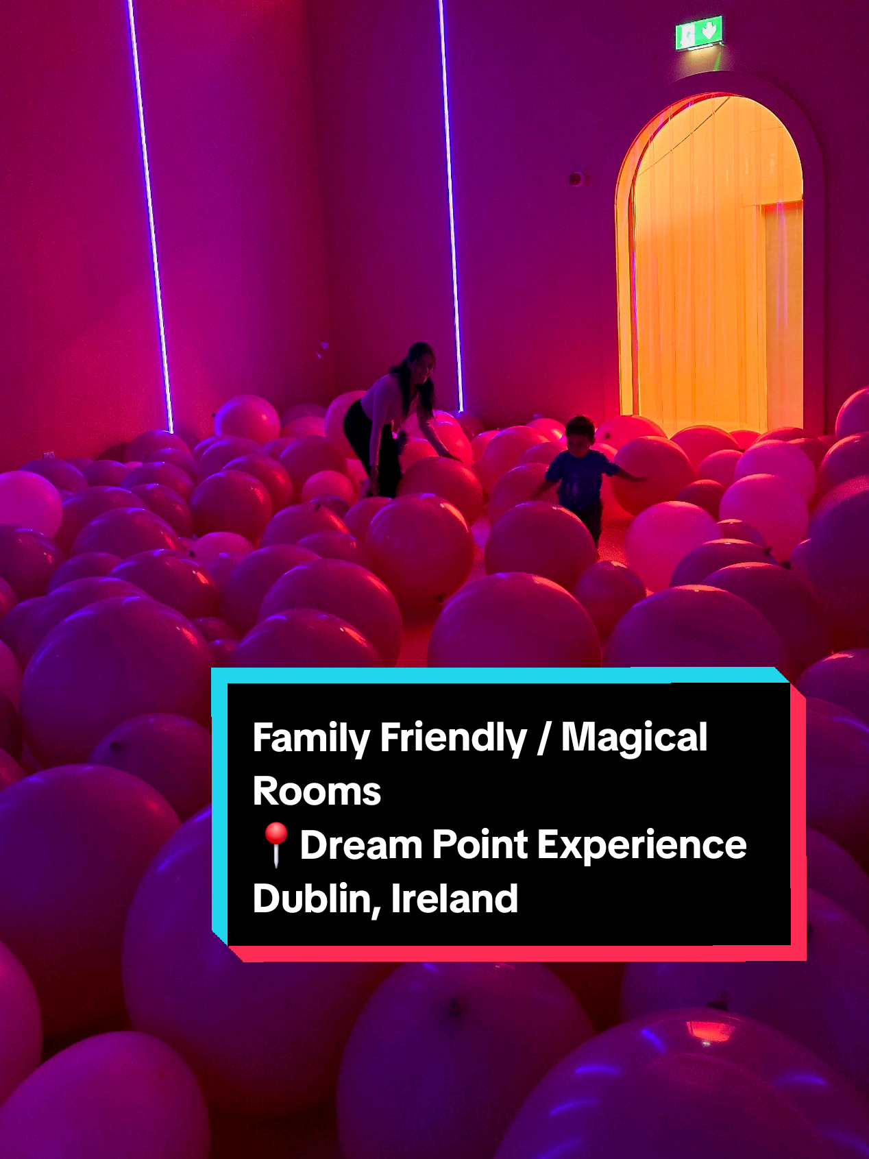 Dream Point Experience
