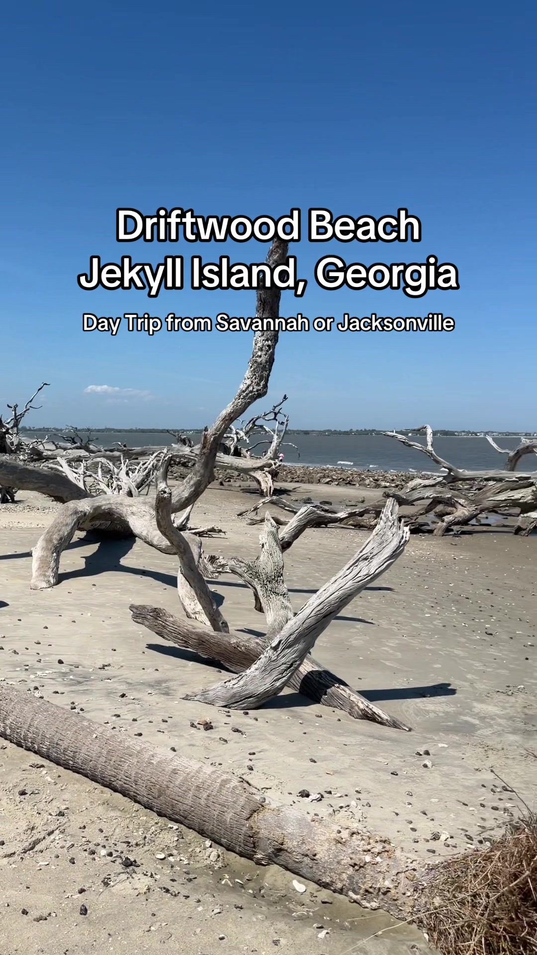 Driftwood Beach