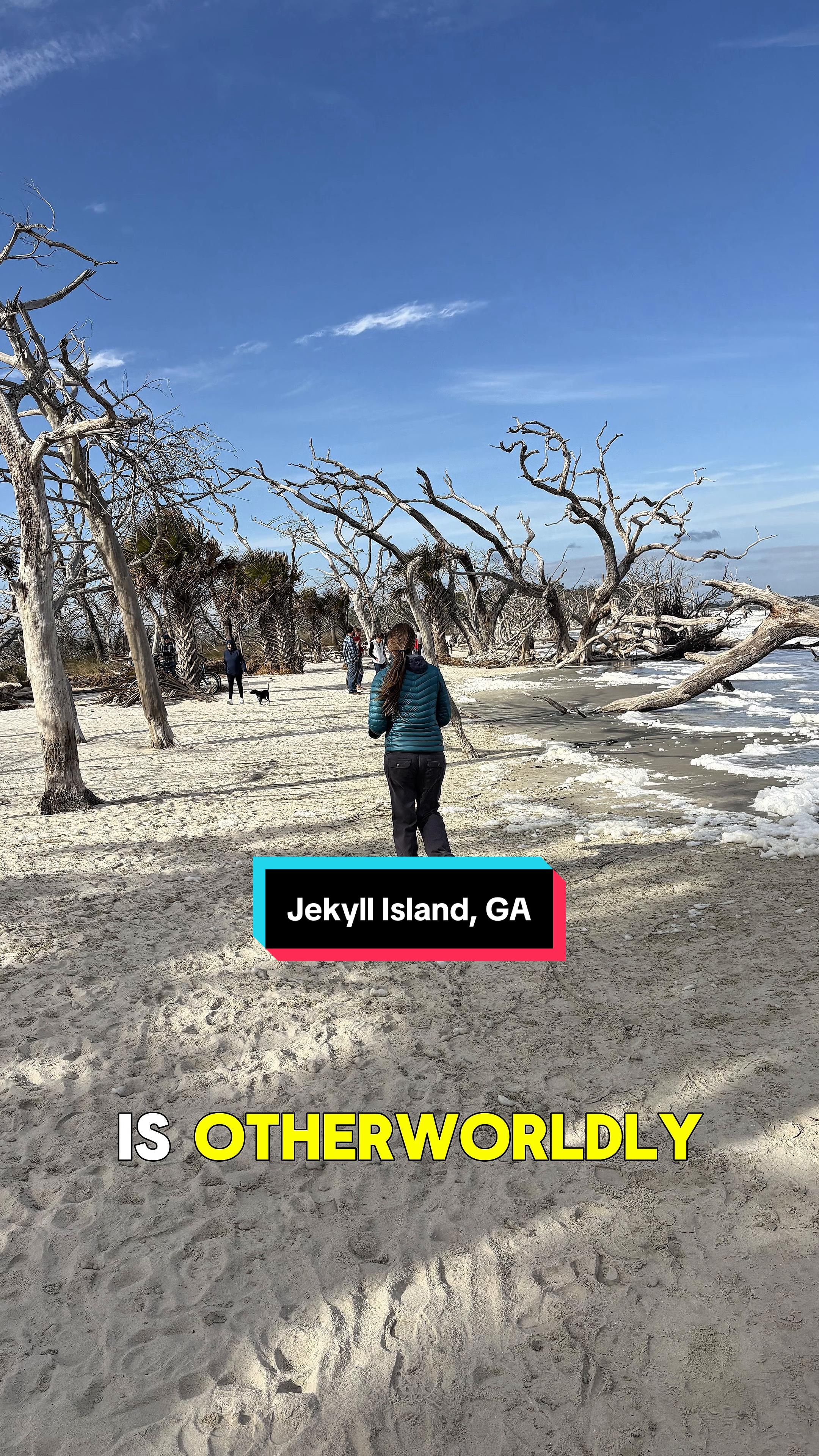 Driftwood Beach