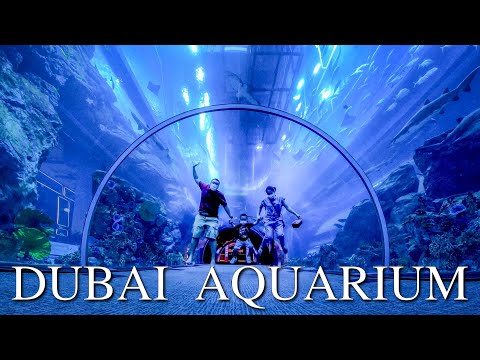 Dubai Aquarium & Underwater Zoo