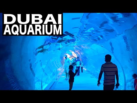 Dubai Aquarium & Underwater Zoo