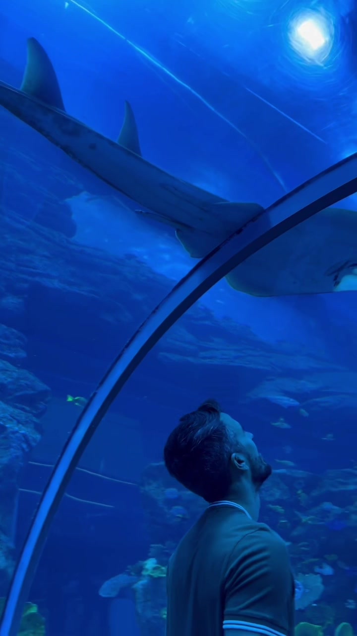 Dubai Aquarium & Underwater Zoo