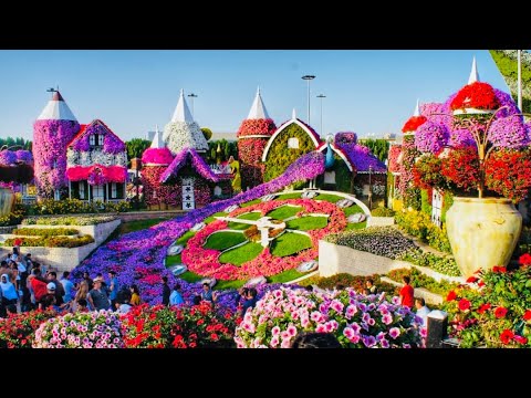 Dubai Miracle Garden