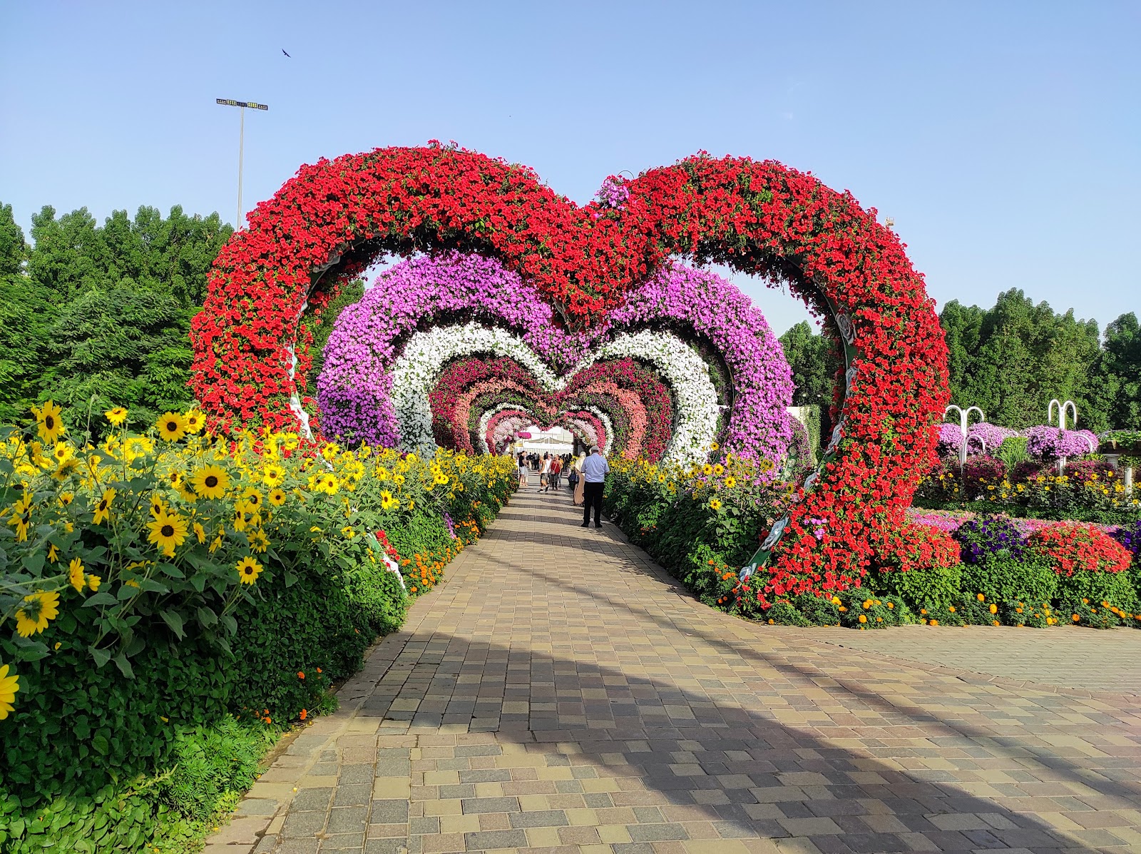 Dubai Miracle Garden