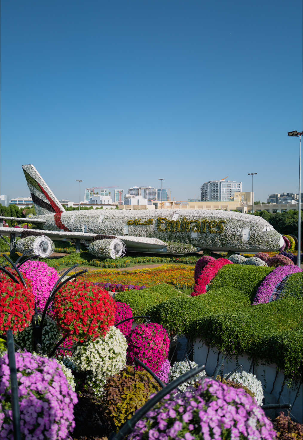 Dubai Miracle Garden