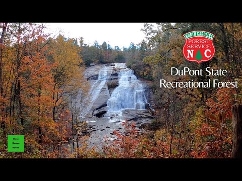 DuPont State Recreational Forest