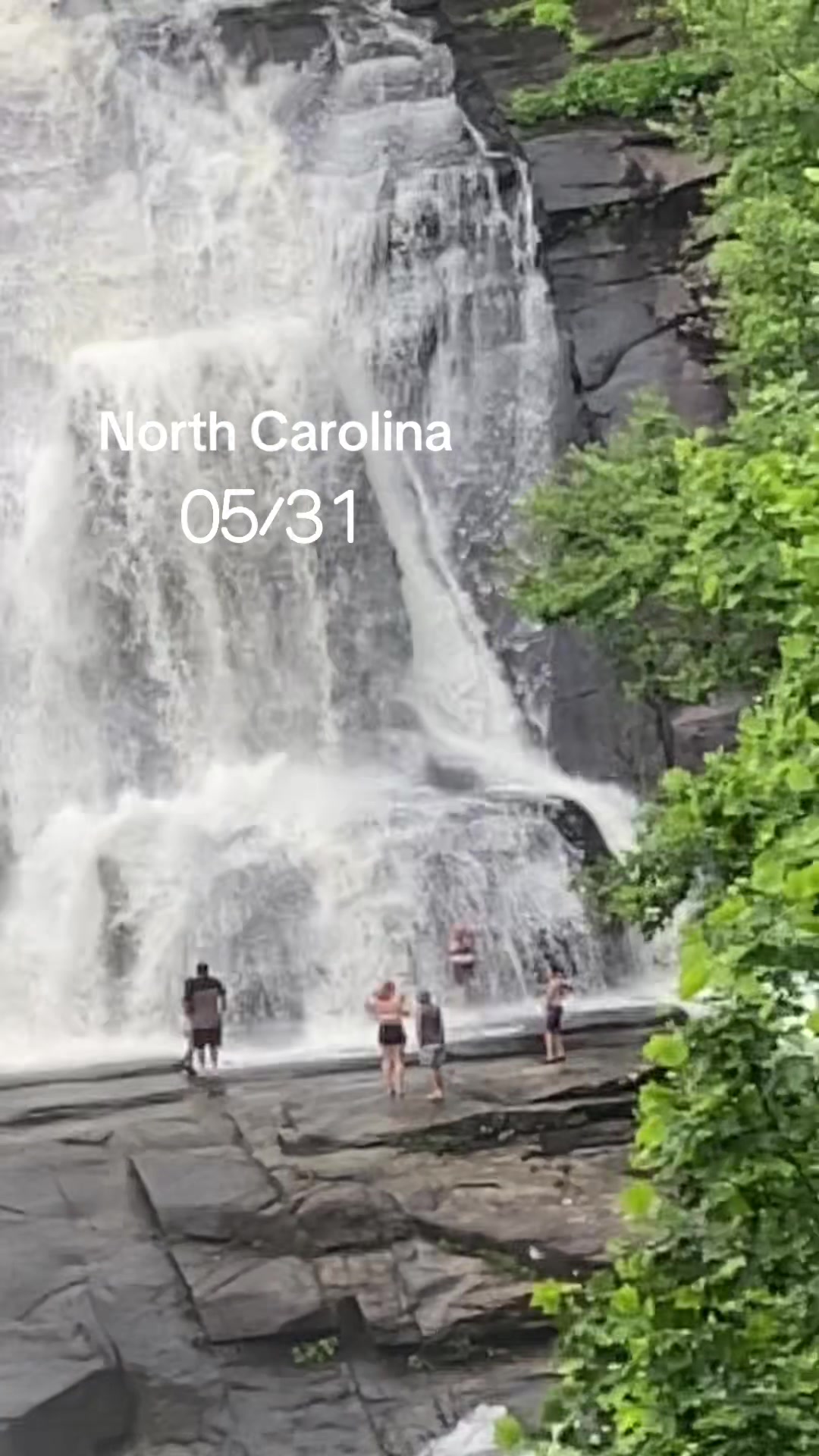 DuPont State Recreational Forest