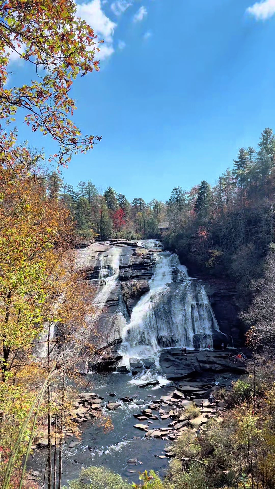 DuPont State Recreational Forest
