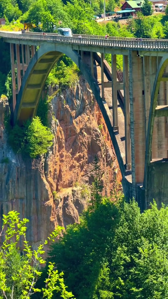 Đurđevića Tara Bridge (גשר ג'ורדז'ביצה טארה)
