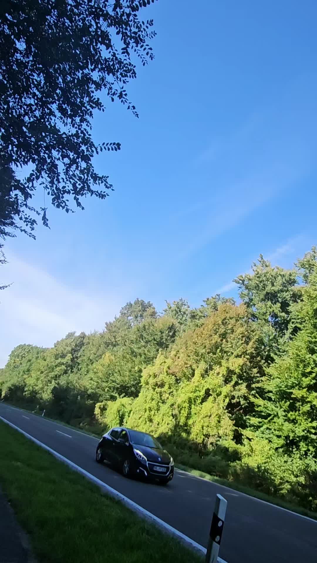 דיסלדורף לטצ'ן (Düsseldorf–Lütkens) – סיורי טבע על פני הנהר והרבה שבילים