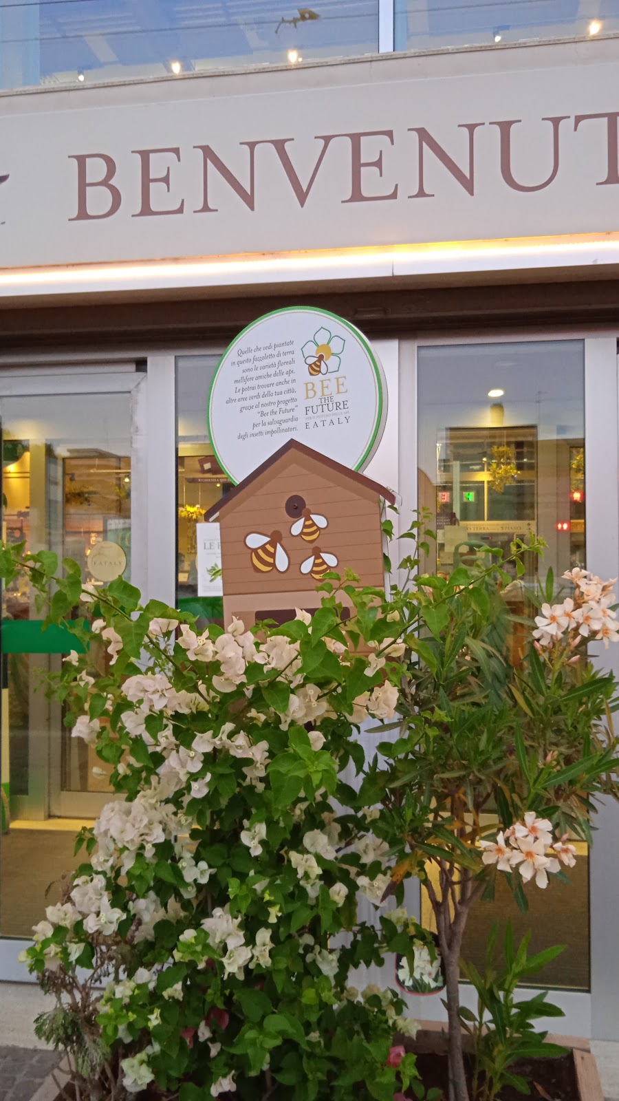 תמונה עבור Eataly Roma