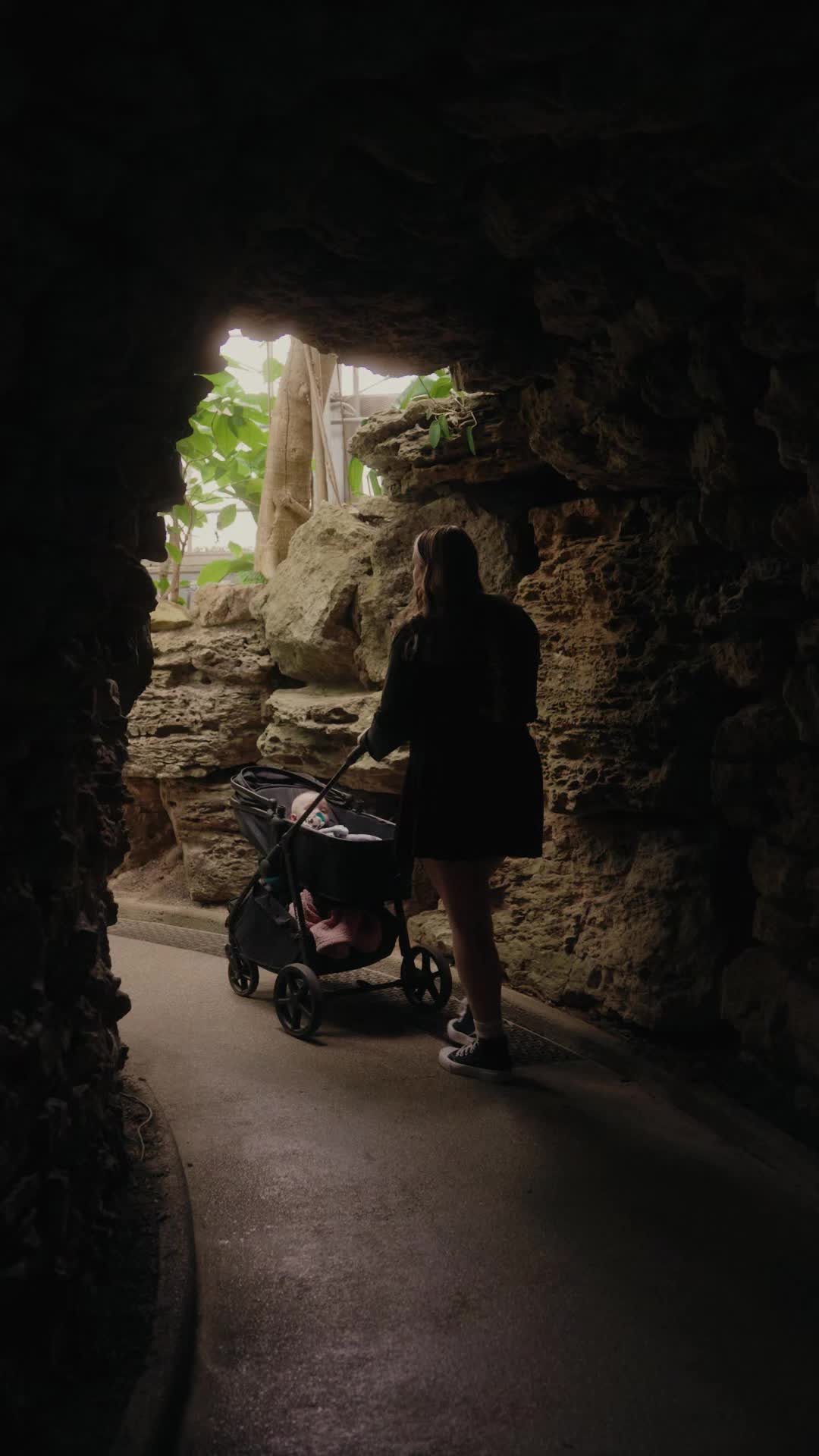 Eden Park (Krohn Conservatory)