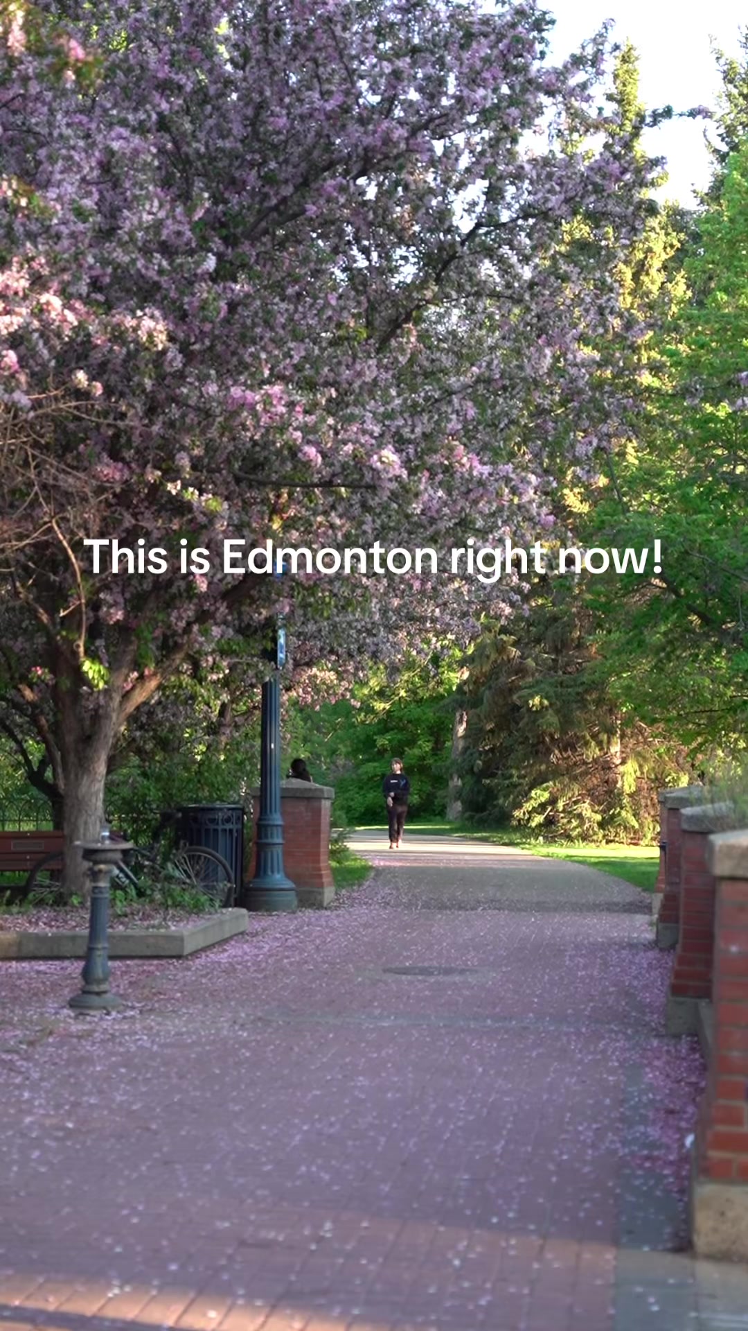 Edmonton, AB, Canada