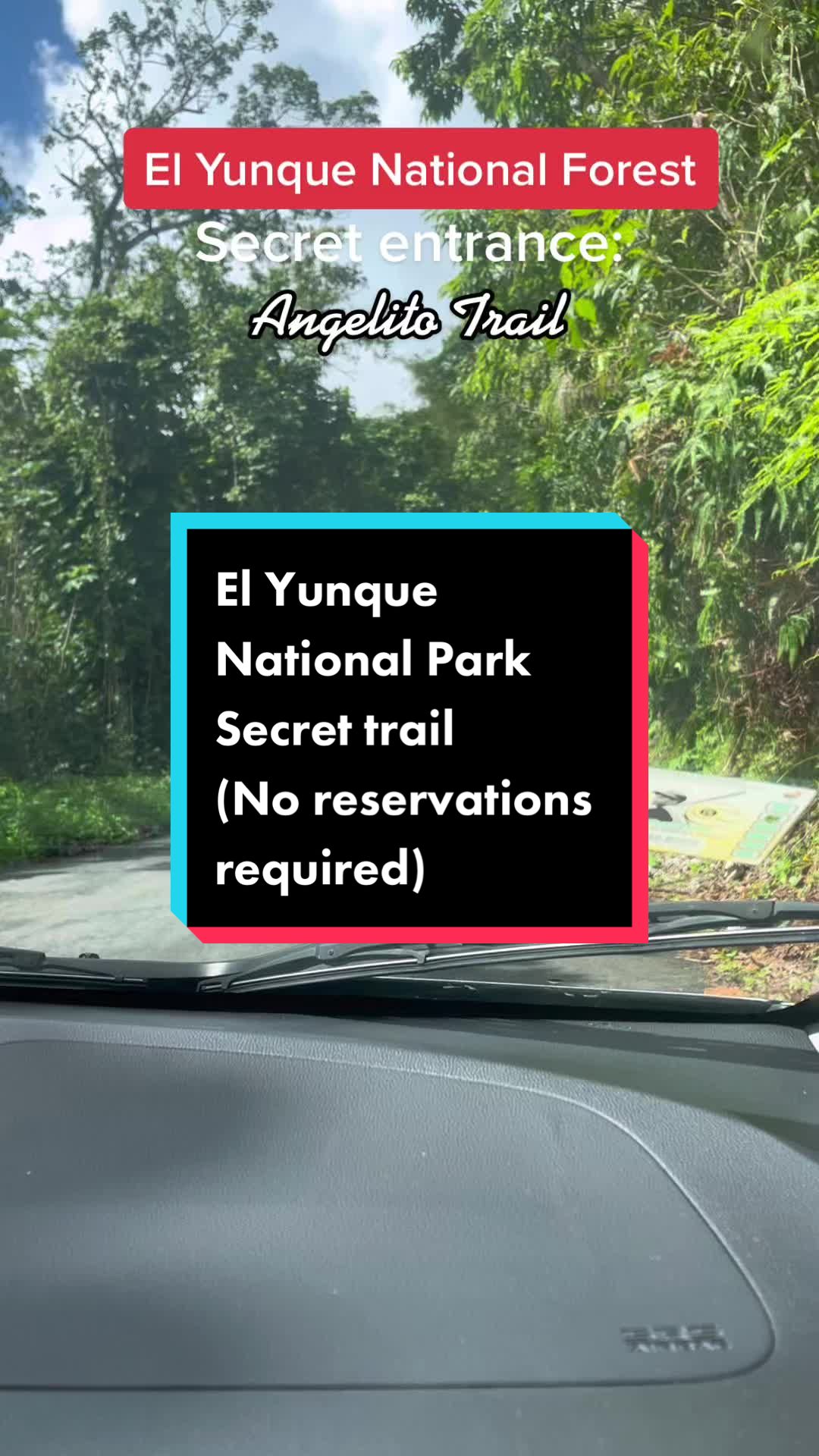 El Yunque National Forest