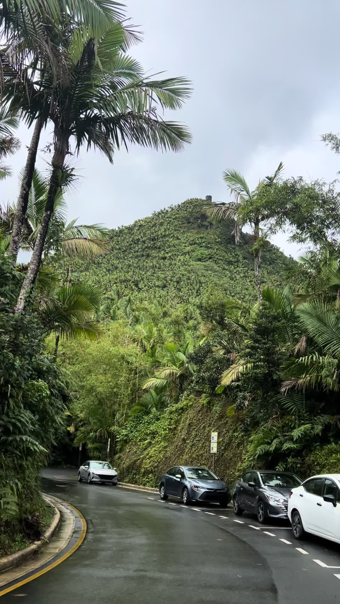 El Yunque National Forest