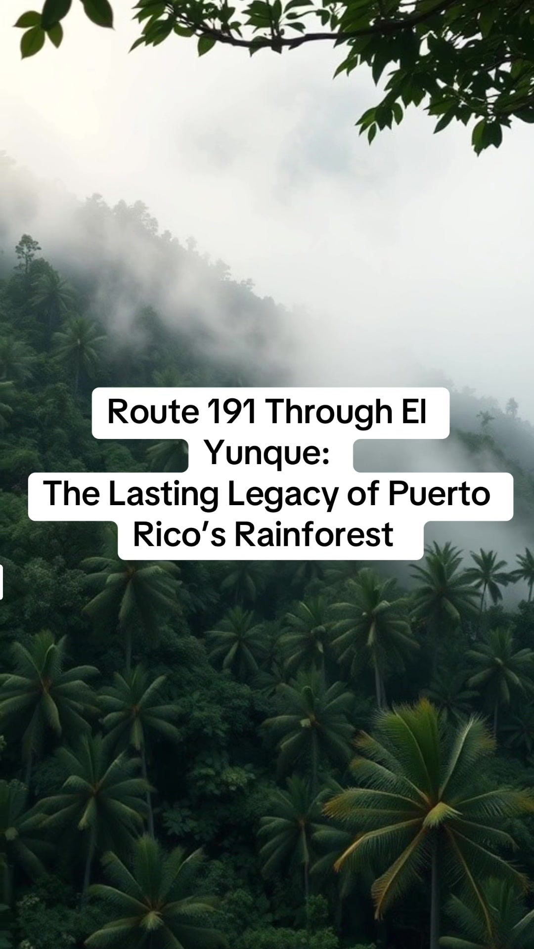 El Yunque National Forest