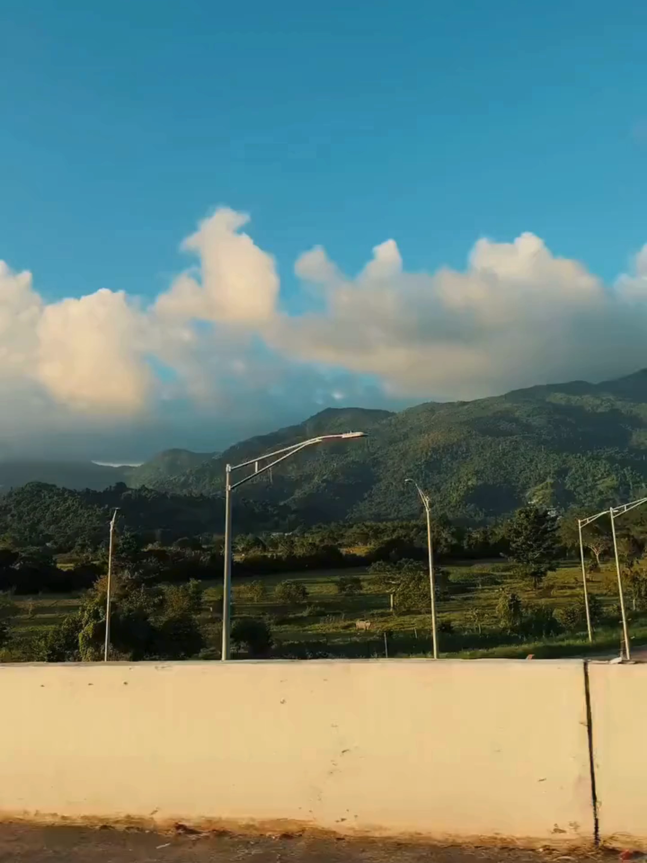 El Yunque National Forest