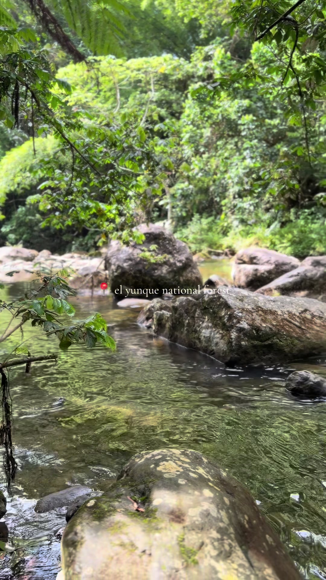 El Yunque National Forest