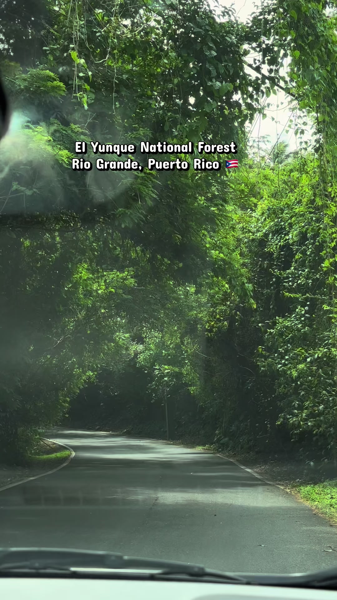 El Yunque National Forest