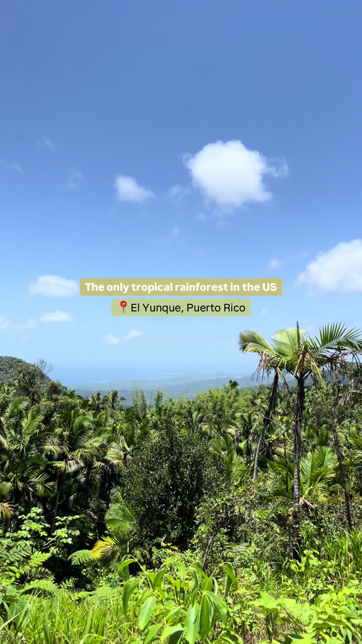 El Yunque National Forest