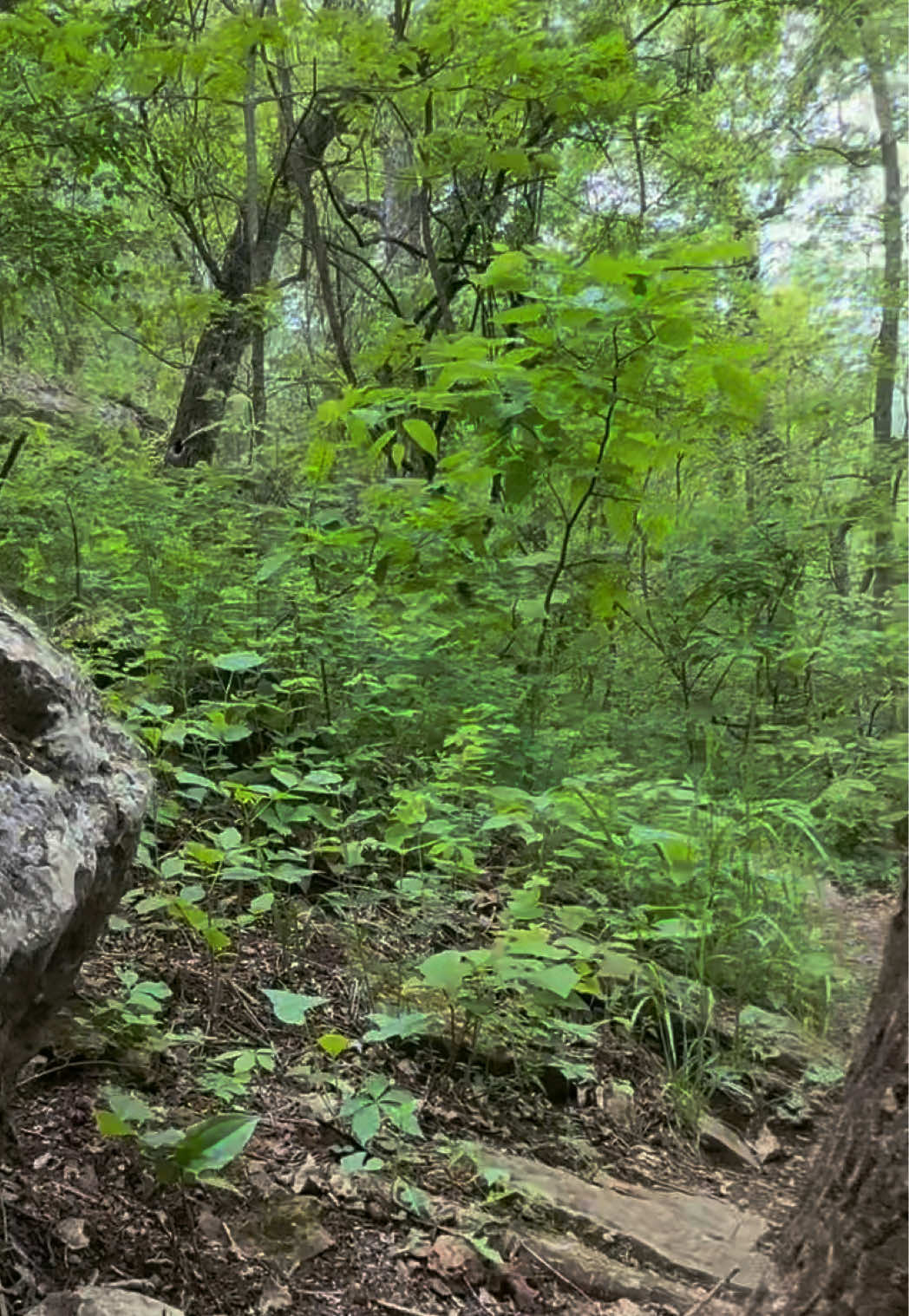 Elk City State Park