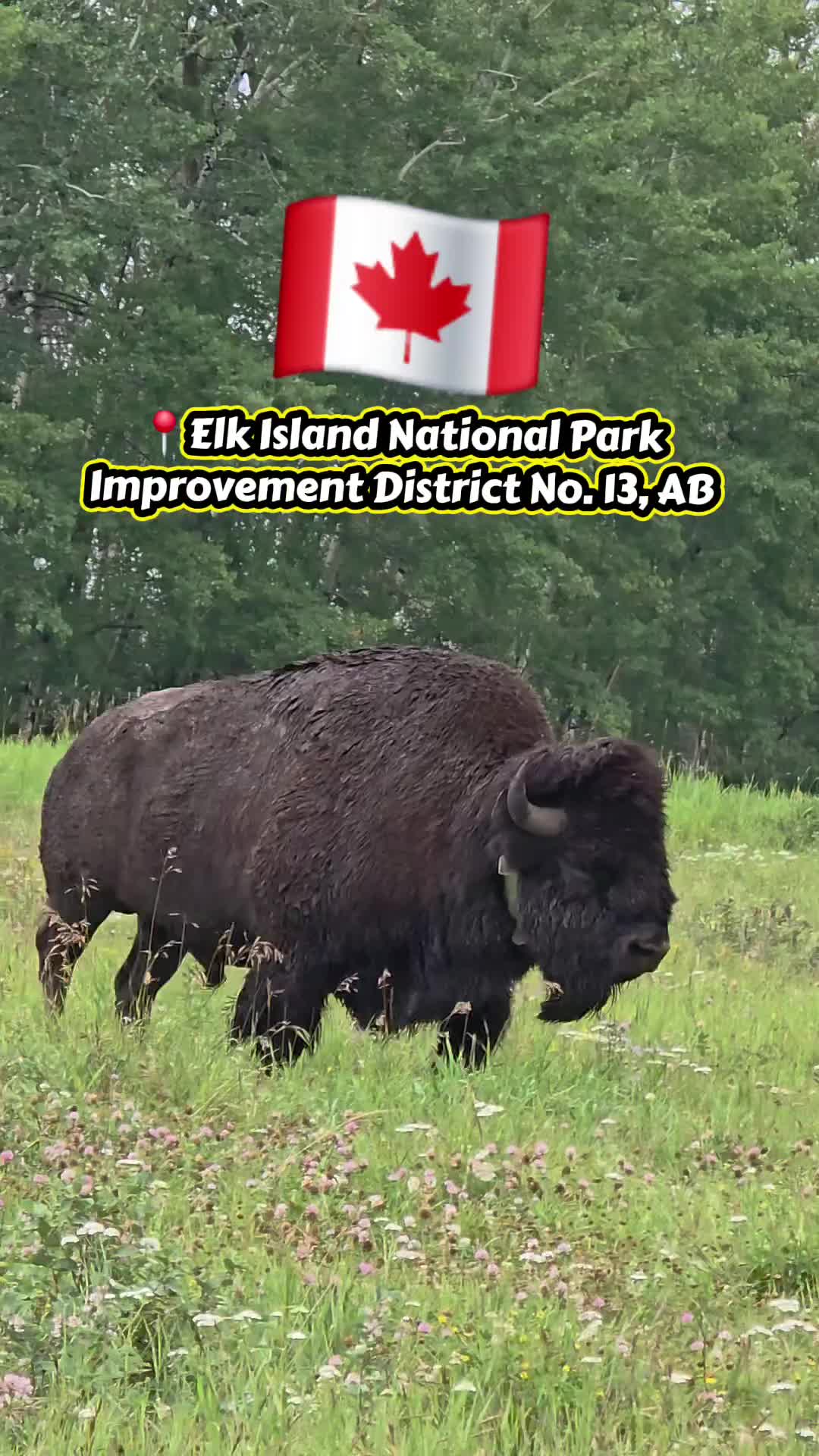 Elk Island National Park
