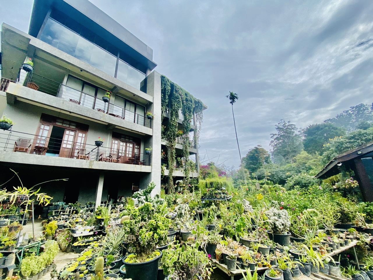 Picture for Ella Flower Garden Restaurant