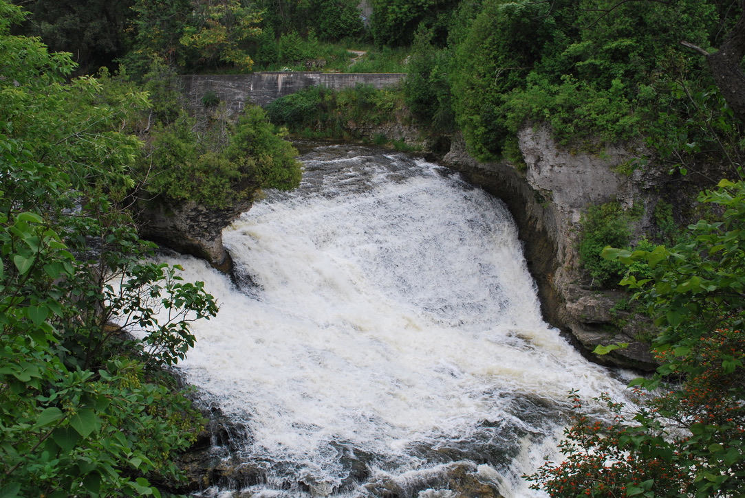 המפלים של אלביו (Elora Gorge)